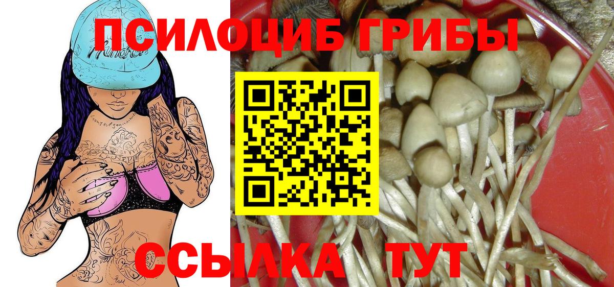 Галлюциногенные грибы прущие грибы Глазов
